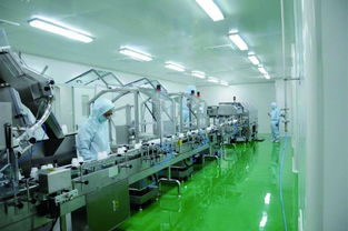 杭州雅琪 精英团队，共创图文设计之美