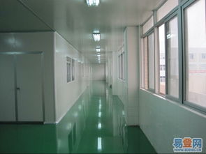 上海松江食品厂净化工程装修设计 从图纸到报价的全面解析